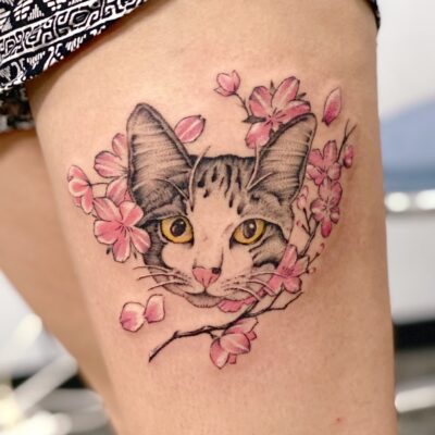 猫　桜