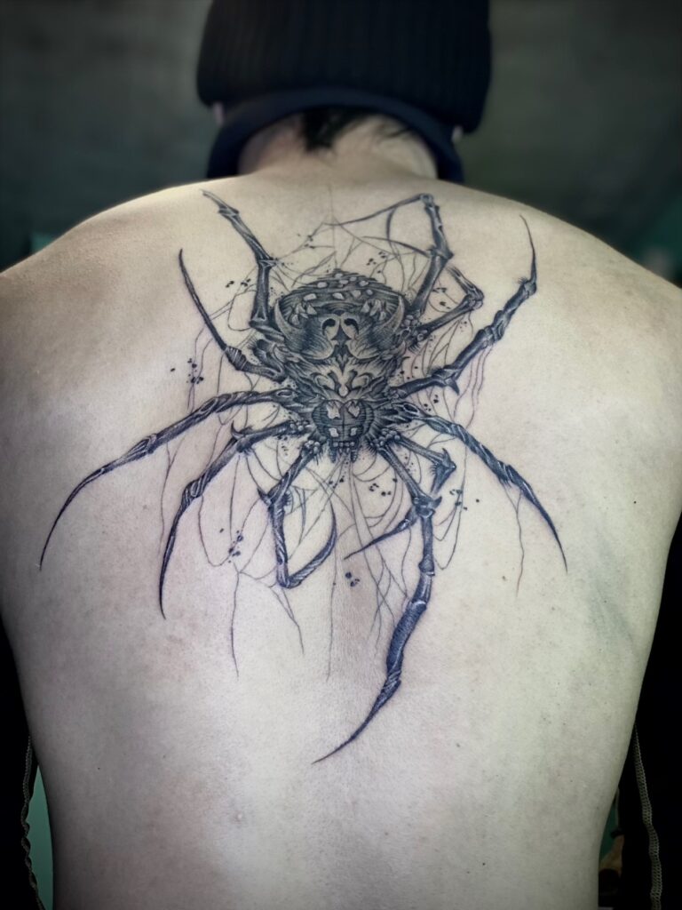 蜘蛛